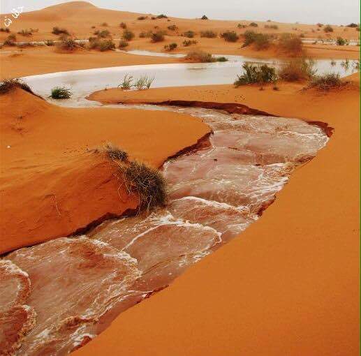 ماء الصحراء 1